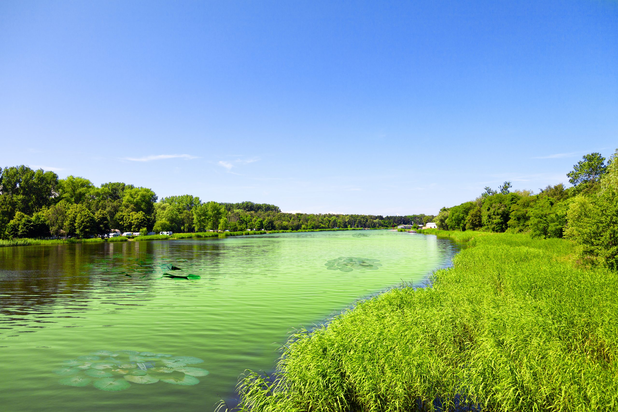 Summer,View,At,The,Lake,In,The,Park